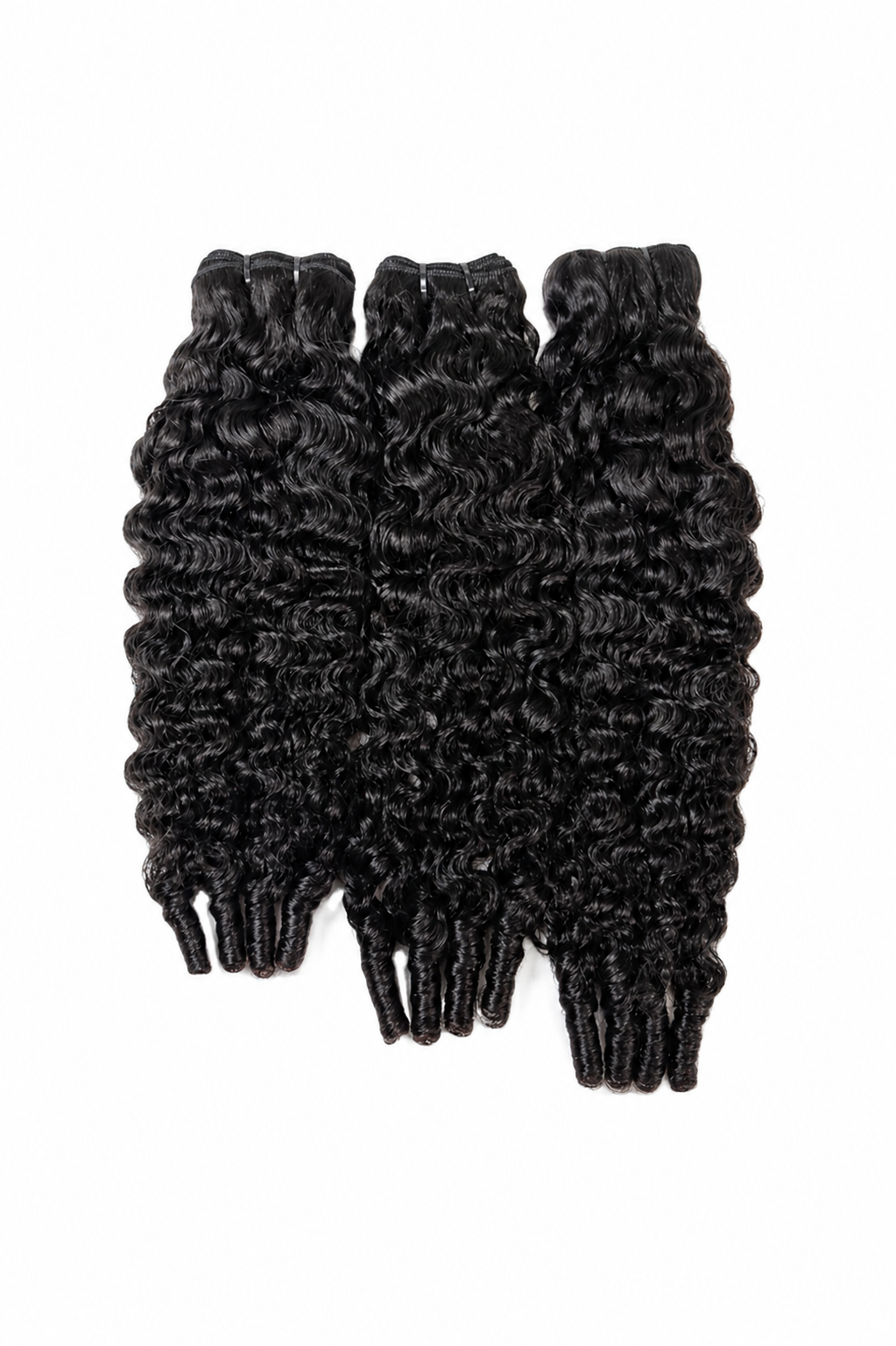 Signature Burmese Curl